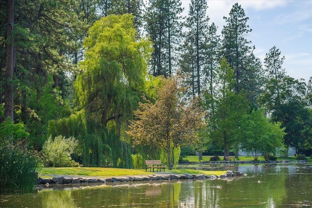215 E 18th Ave, Spokane, WA 99203 - water view