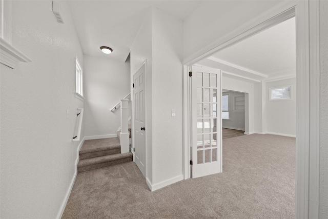 215 E 18th Ave, Spokane, WA 99203 - stairs with carpet