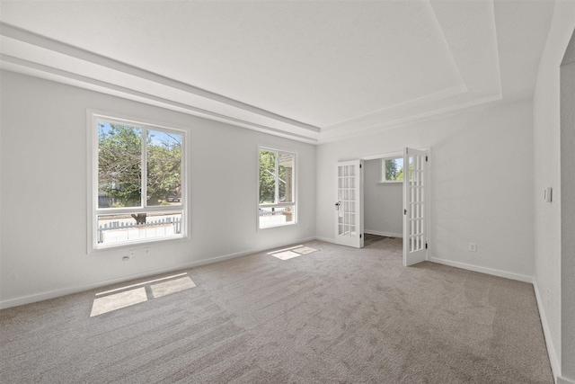 215 E 18th Ave, Spokane, WA 99203 - spare room featuring a tray ceiling, french doors, and carpet floors