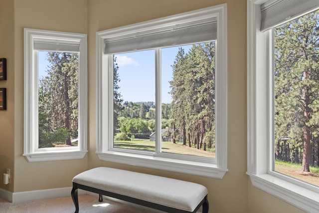 6815 S Palouse Hwy, Spokane, WA 99223 - detailed view of carpet flooring and baseboards