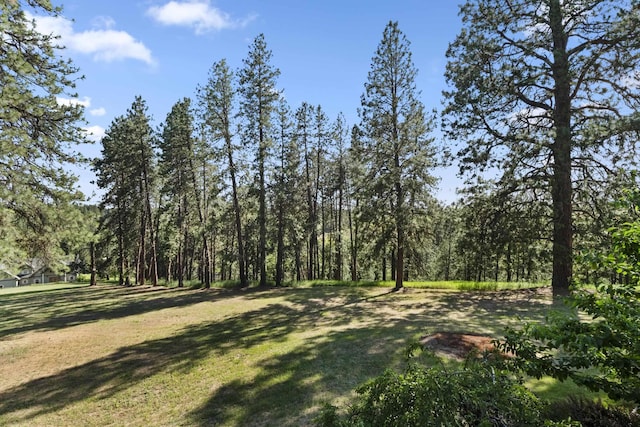 6815 S Palouse Hwy, Spokane, WA 99223 - view of grassy yard featuring a wooded view