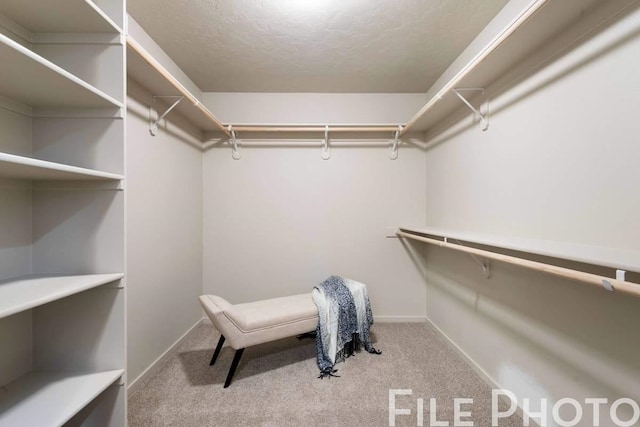 14 N Drummond St, Spokane Valley, WA 99016 - walk in closet featuring carpet flooring