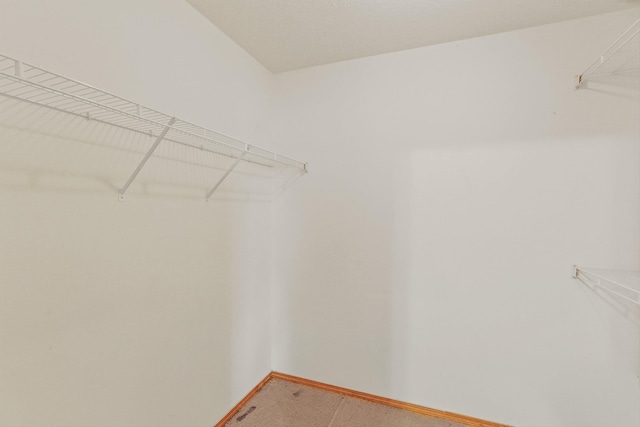 17506 E 3rd Ln, Greenacres, WA 99016 - walk in closet with light carpet