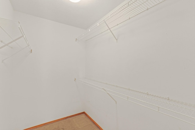 17506 E 3rd Ln, Greenacres, WA 99016 - walk in closet with light carpet