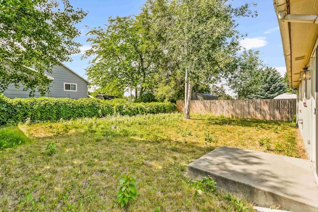 17506 E 3rd Ln, Greenacres, WA 99016 - view of yard