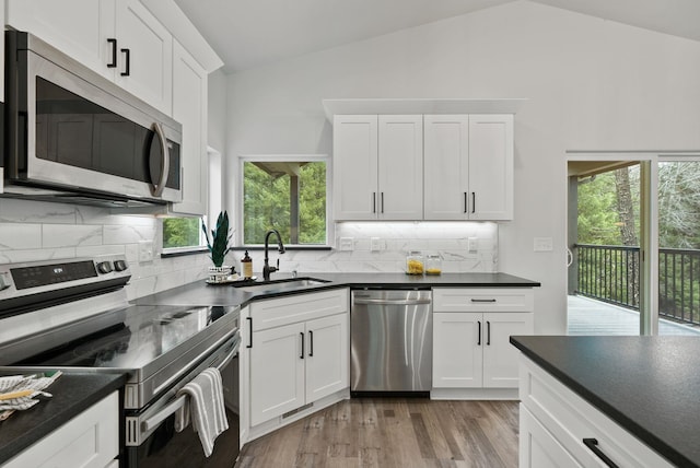 826 Thomas Ln, Newport, WA 99156 - kitchen featuring appliances with stainless steel finishes, lofted ceiling, dark countertops, plenty of natural light, and tasteful backsplash