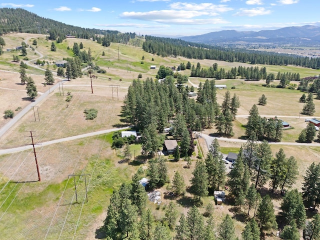 6221 N Highview Ln, Spokane Valley, WA 99217 - view of rural area with a mountain backdrop