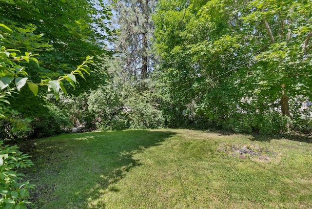 2026 W 9th Ave, Spokane, WA 99204 - view of grassy yard