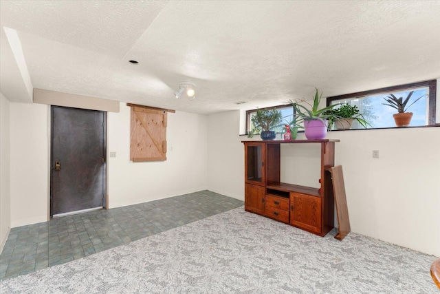 1616 N Ritchey Rd, Reardan, WA 99029 - below grade area featuring a textured ceiling and carpet floors