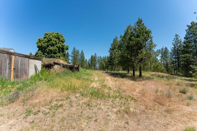 1616 N Ritchey Rd, Reardan, WA 99029 - view of yard