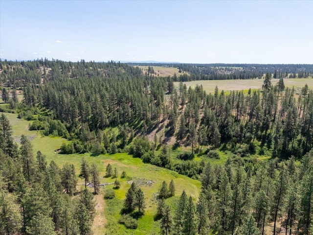 1616 N Ritchey Rd, Reardan, WA 99029 - aerial view of a forest