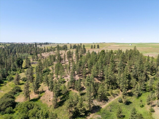 1616 N Ritchey Rd, Reardan, WA 99029 - view of rural area