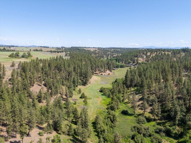 1616 N Ritchey Rd, Reardan, WA 99029 - aerial view