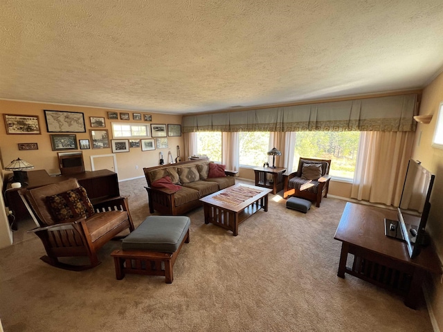 1703 W 25th Ave, Spokane, WA 99224 - living room with a textured ceiling, carpet, and healthy amount of natural light