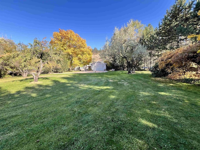 1703 W 25th Ave, Spokane, WA 99224 - view of green lawn