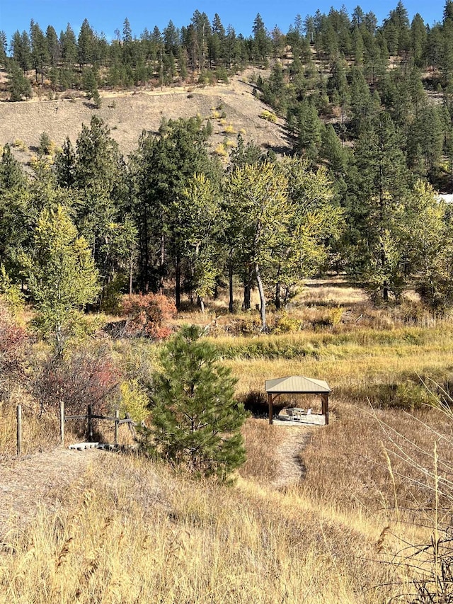 1703 W 25th Ave, Spokane, WA 99224 - view of nature