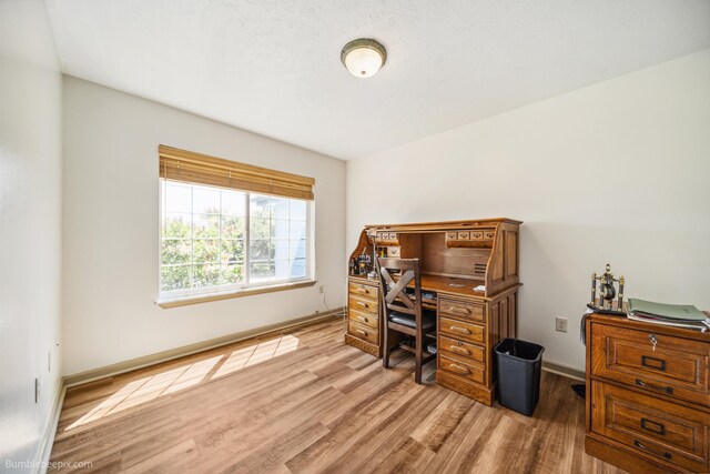 706 S Shelley Lake Ln, Veradale, WA 99037 - unfurnished living room with light wood finished floors and a textured ceiling