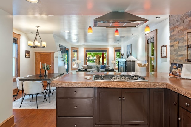 1420 W Main Ave, Spokane, WA 99201 - kitchen with stainless steel gas cooktop, range hood, dark brown cabinetry, wood finished floors, and hanging light fixtures