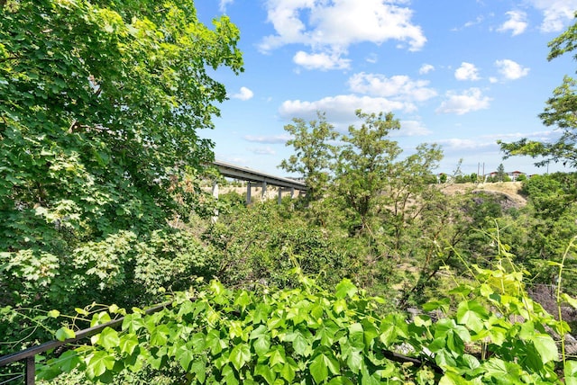 1420 W Main Ave, Spokane, WA 99201 - view of local wilderness
