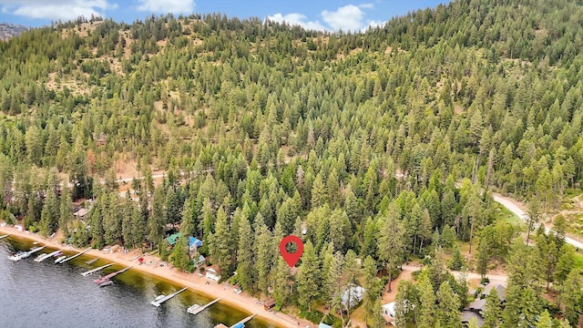 4629 Mix Way, Loon Lake, WA 99148 - bird's eye view of a forest and a nearby body of water