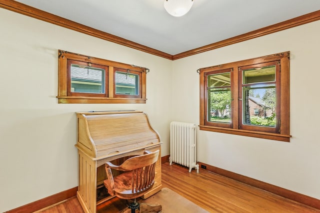1107 W 19th Ave, Spokane, WA 99203 - office featuring radiator, light wood-style flooring, and crown molding