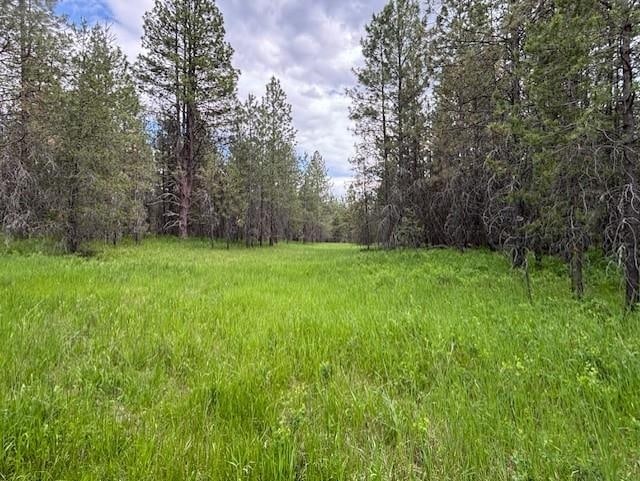 43XX Lumberg Rd, Springdale, WA 99173