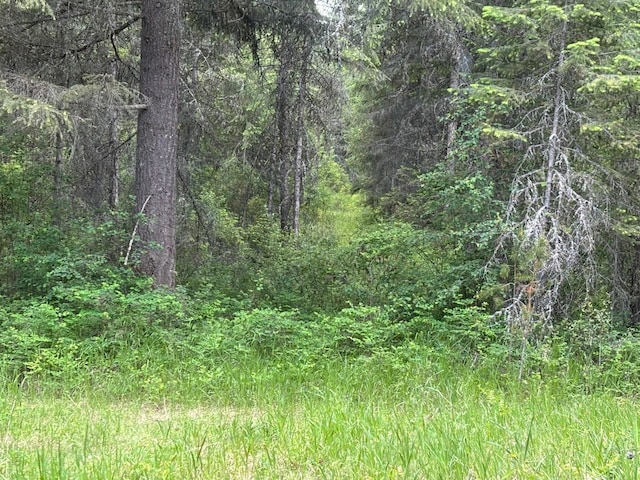43XX Lumberg Rd, Springdale, WA 99173