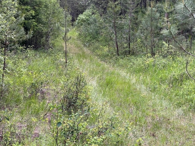 43XX Lumberg Rd, Springdale, WA 99173