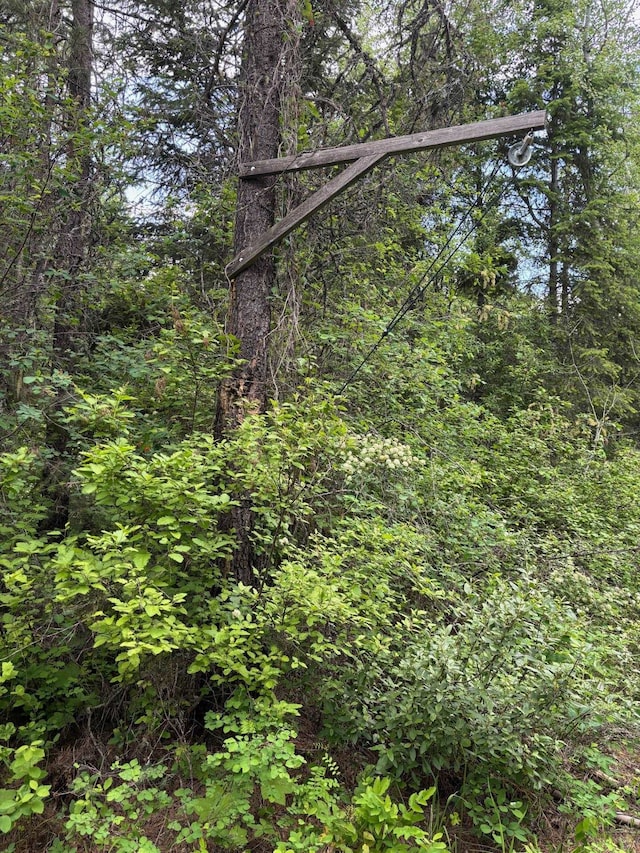 43XX Lumberg Rd, Springdale, WA 99173