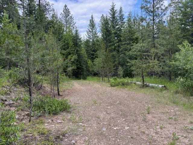 43XX Lumberg Rd, Springdale, WA 99173