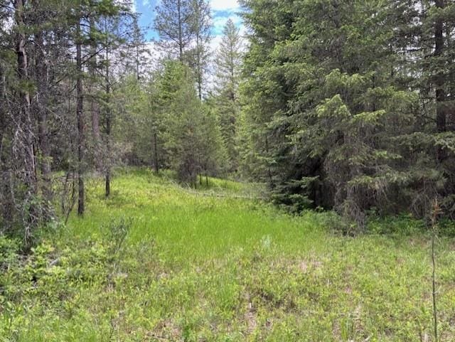 43XX Lumberg Rd, Springdale, WA 99173