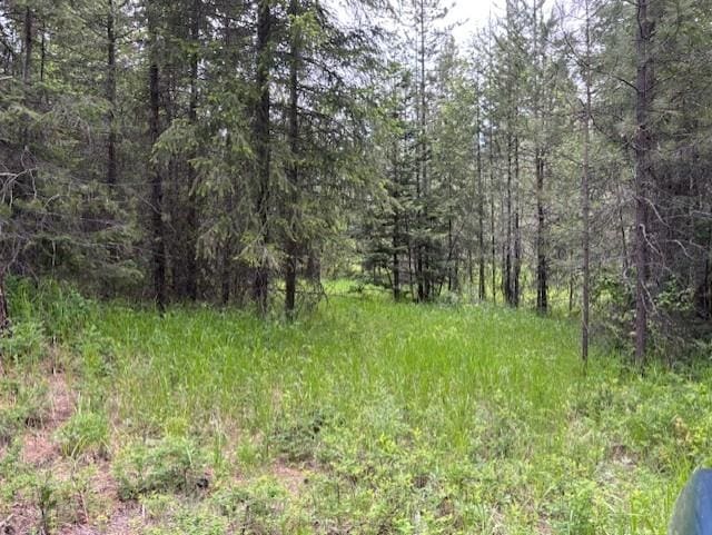 43XX Lumberg Rd, Springdale, WA 99173