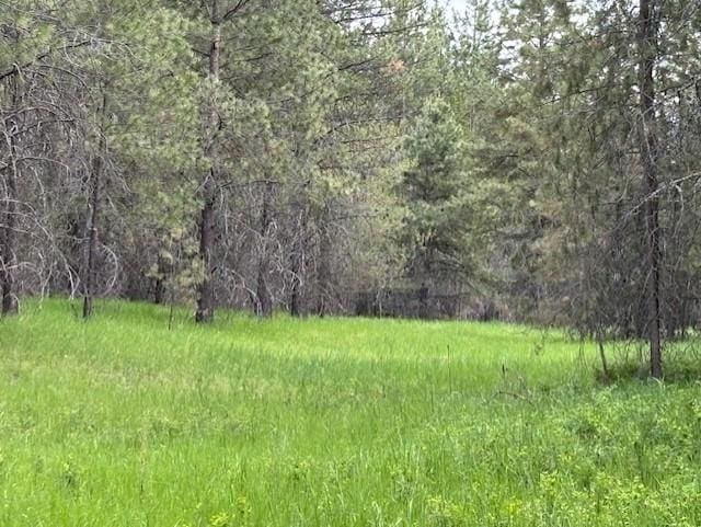 43XX Lumberg Rd, Springdale, WA 99173