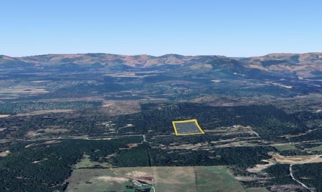 43XX Lumberg Rd, Springdale, WA 99173