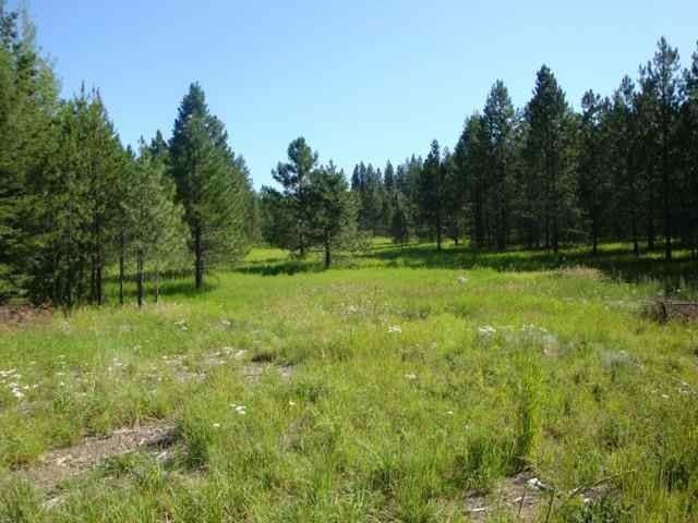 43XX Lumberg Rd, Springdale, WA 99173