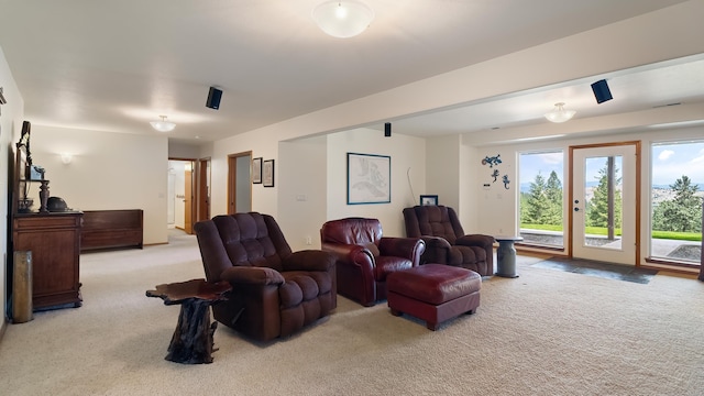 19918 E Pheasant Dr, Greenacres, WA 99016 - view of carpeted living area