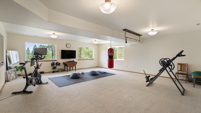 19918 E Pheasant Dr, Greenacres, WA 99016 - workout area featuring carpet flooring and baseboards