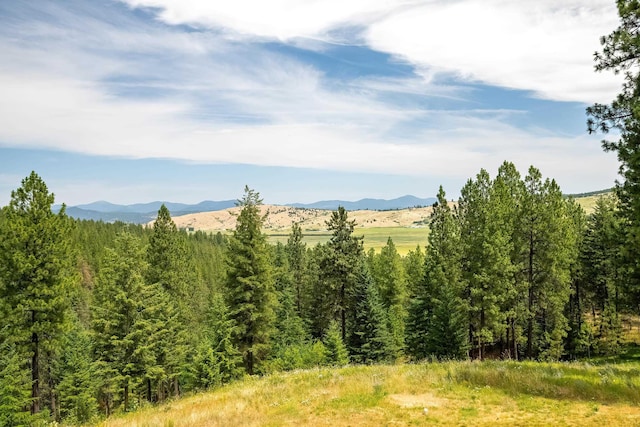 19918 E Pheasant Dr, Greenacres, WA 99016 - view of mountain background
