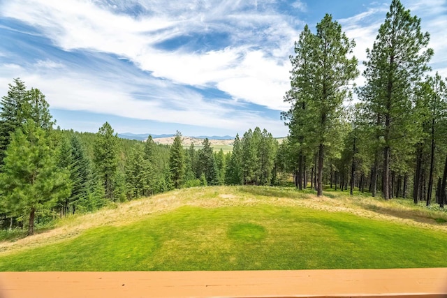19918 E Pheasant Dr, Greenacres, WA 99016 - view of grassy yard with a mountain view and a view of trees