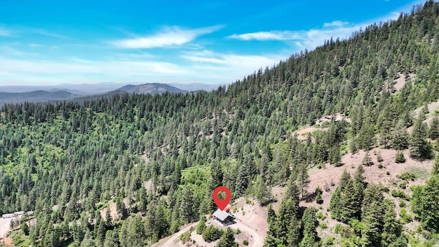 4100 N Deer Lake Rd Lot 2, Loon Lake, WA 99148 - photo 15