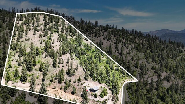 4100 N Deer Lake Rd Lot 2, Loon Lake, WA 99148 - photo 17