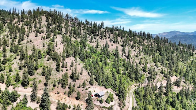 4100 N Deer Lake Rd Lot 2, Loon Lake, WA 99148 - photo 18