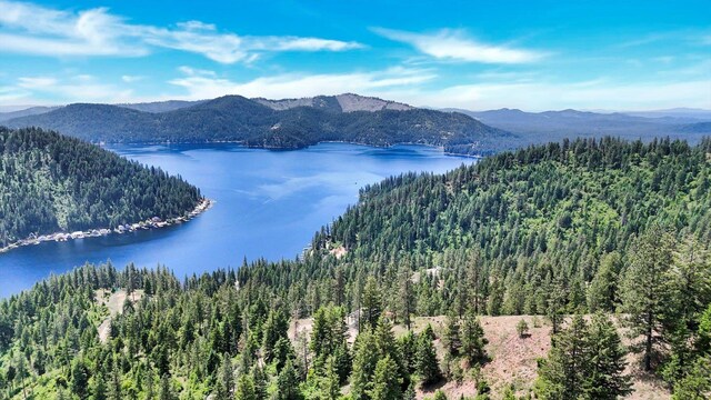 4100 N Deer Lake Rd Lot 2, Loon Lake, WA 99148 - photo 10