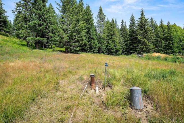 1541 Thompson Rd, Elk, WA 99009 - view of yard