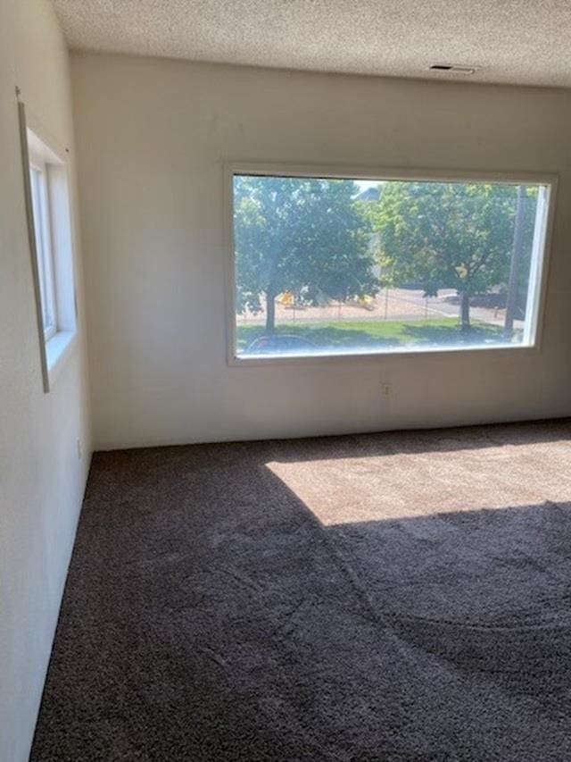 2526 W Sinto Ave, Spokane, WA 99201 - spare room with carpet, plenty of natural light, and a textured ceiling