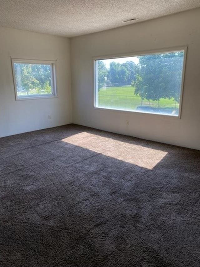 2526 W Sinto Ave, Spokane, WA 99201 - unfurnished room with carpet, plenty of natural light, and a textured ceiling