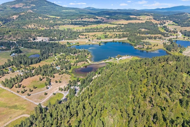 585 White Meadow Way, Colville, WA 99114 - photo 1
