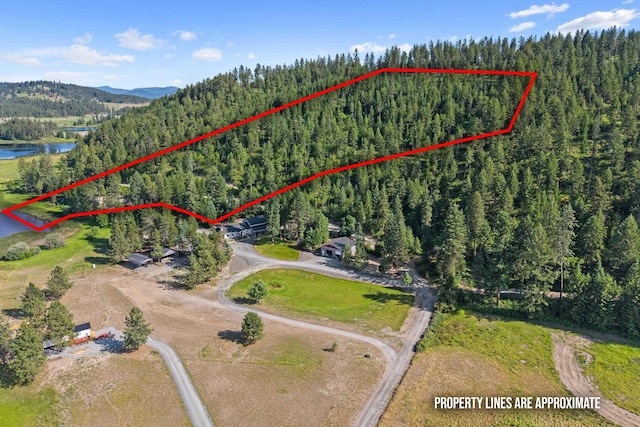 585 White Meadow Way, Colville, WA 99114 - photo 2