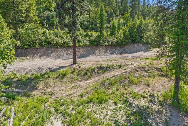 585 White Meadow Way, Colville, WA 99114 - photo 11