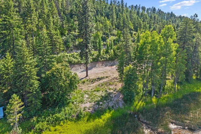 585 White Meadow Way, Colville, WA 99114 - photo 12